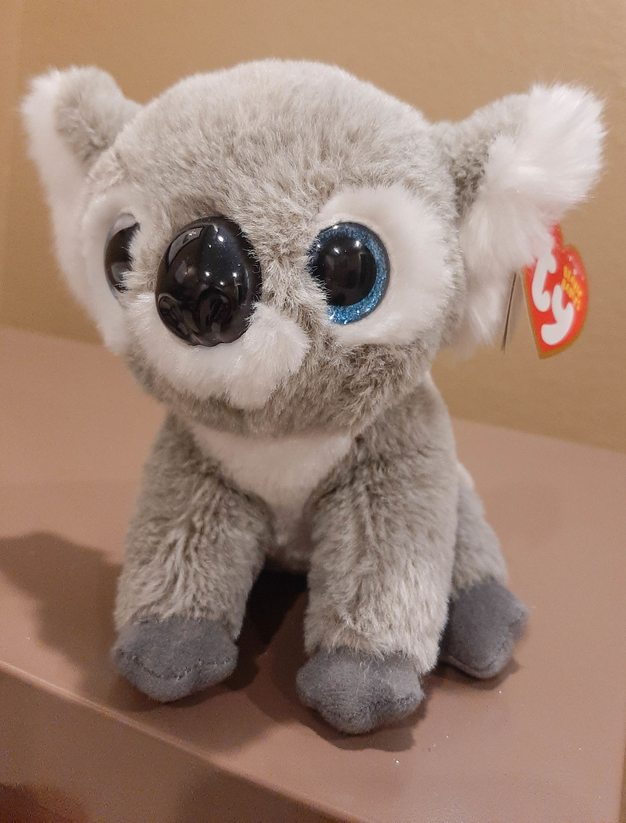 Take 5: Kookoo the Koala